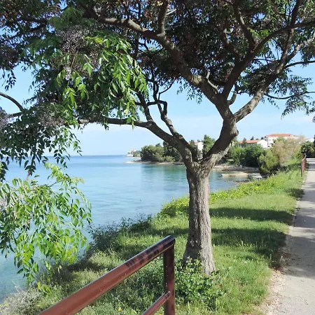 Mila Zadar